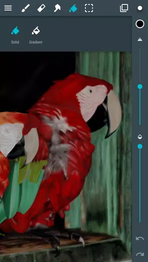 screen-5
